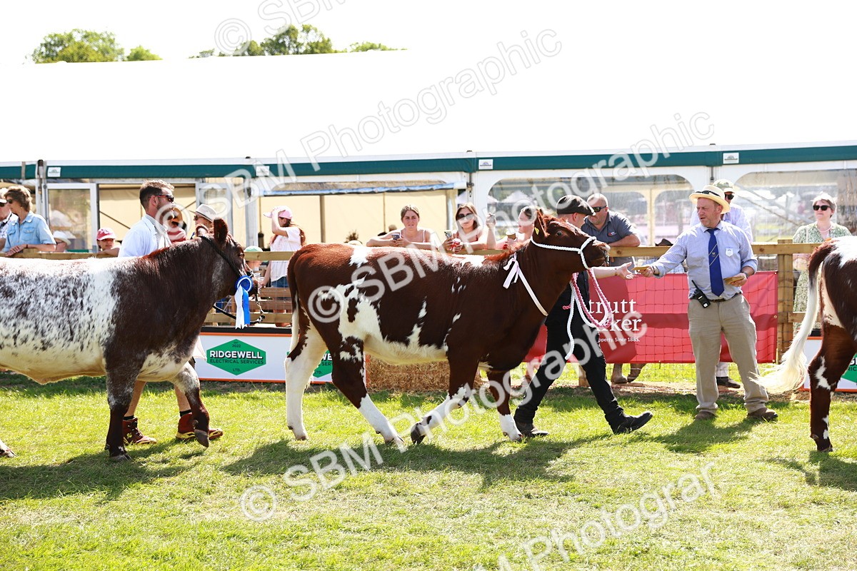 SBM_08418 - Grand Parade
