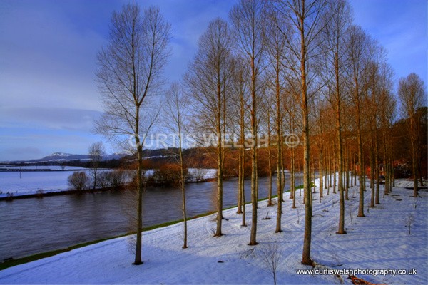 156 - SCOTTISH BORDERS