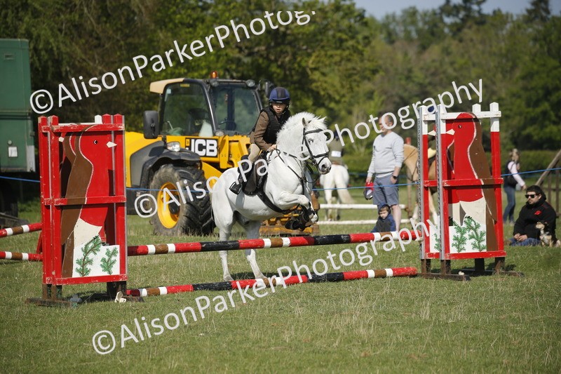 20250427-0435 - Class 12 - Rookie Jumping 40cm