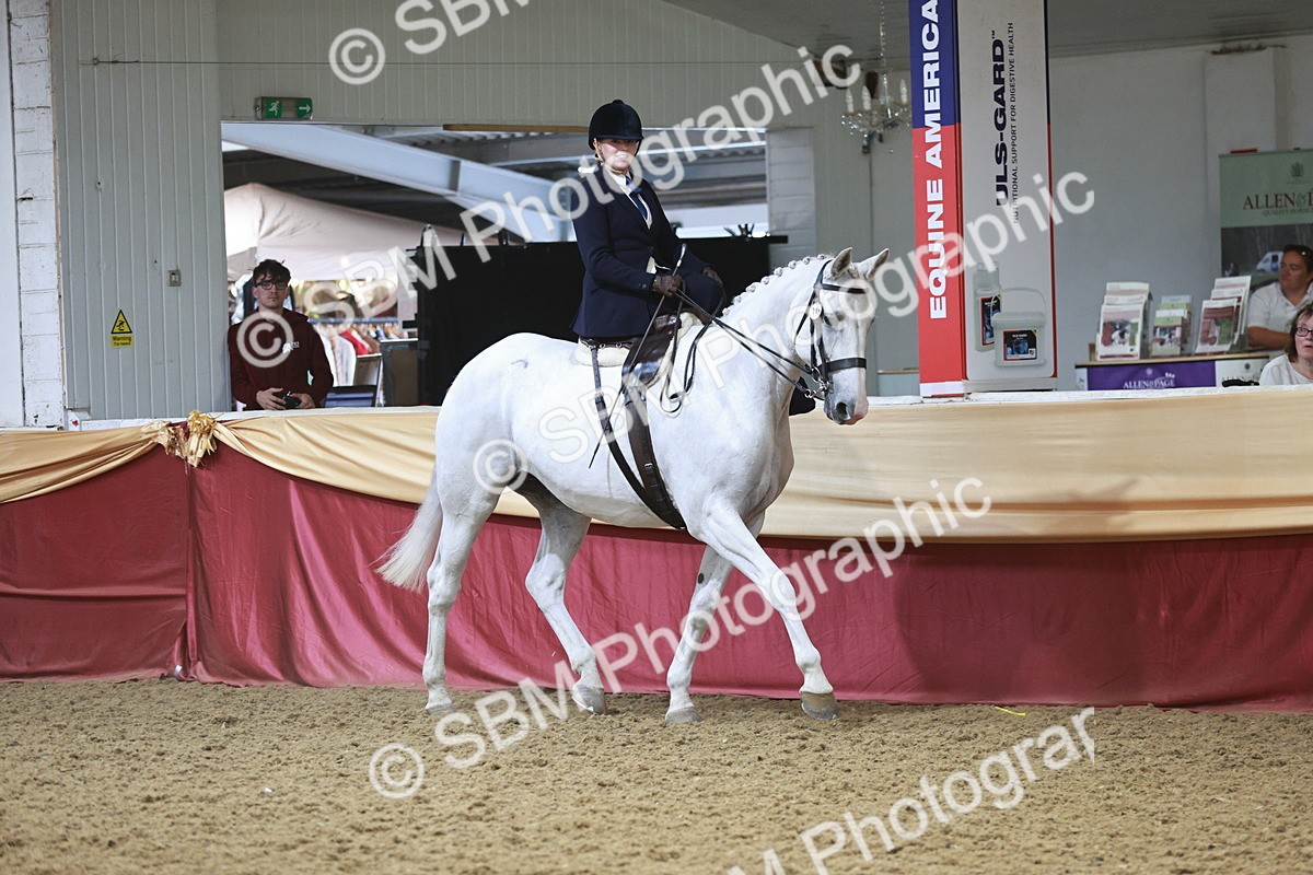 SBM_08819 - Class 12R - Regional Ridden Pre-Vet