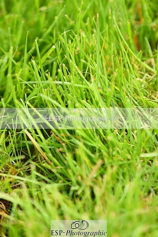 230514-095250-09354 - Cls 27 Snr 1.20m GP