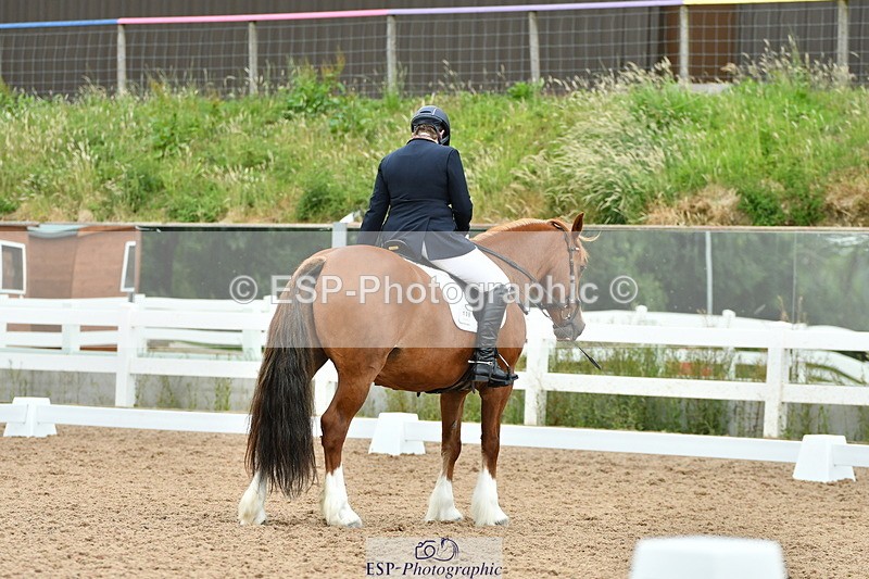 230630A-115442-01727 - Cls 7 Elementary 45