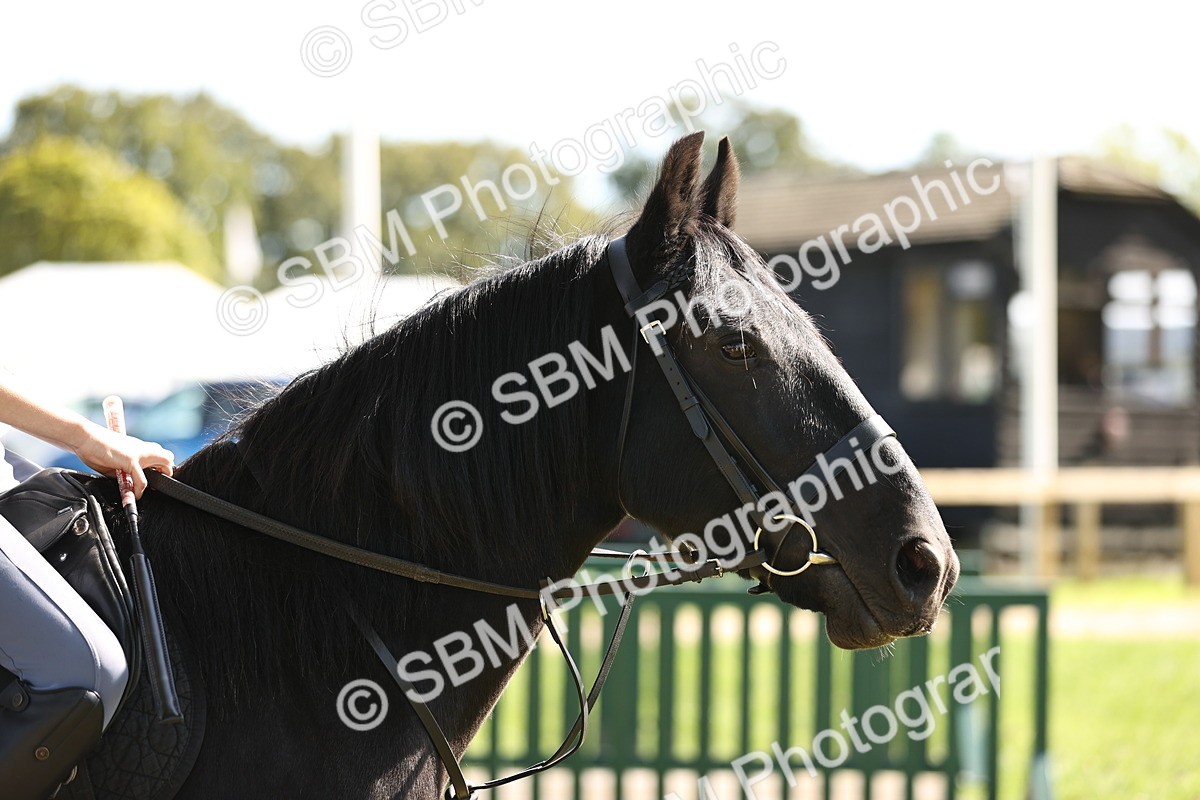 SBM_22996 - S4 - Have a Go at Working Equitation