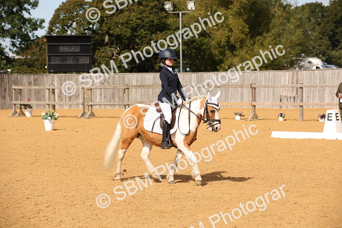 SBM_21794 - D5 - Small Tour Championship - Intro C