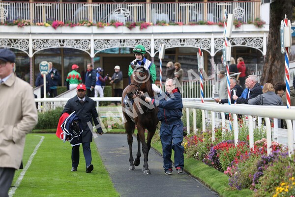 yr07102022r2-30 - Race 2 2.40pm William Hill Autumn Mile