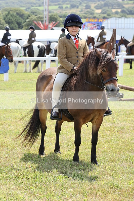 JPP_1859 - Class 18: Tiny Tots Working Hunter Pony