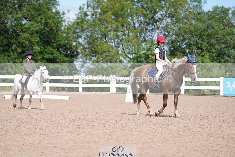 240809A-105000-00671 - Dressage Competition
