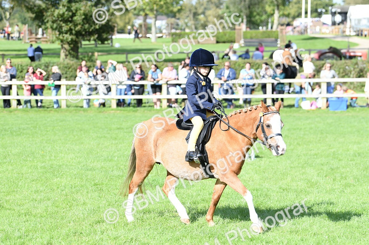 SBM_50279 - S21 - Novice & Newcomers 1st Ridden Pony