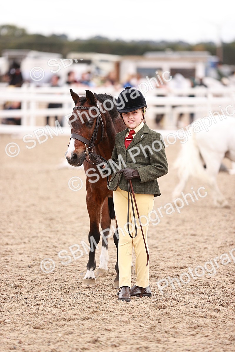 SBM_18556 - Class 421 - Childs Best Friend - Jnr