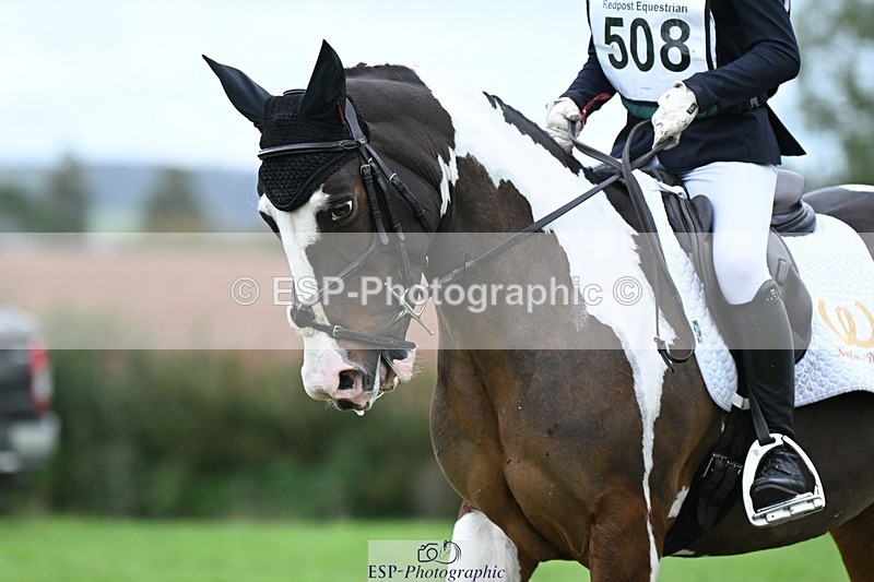 231020-154522-11257 - 508-ROCK.MELODY-Bethy.Naylor-Davis-DR