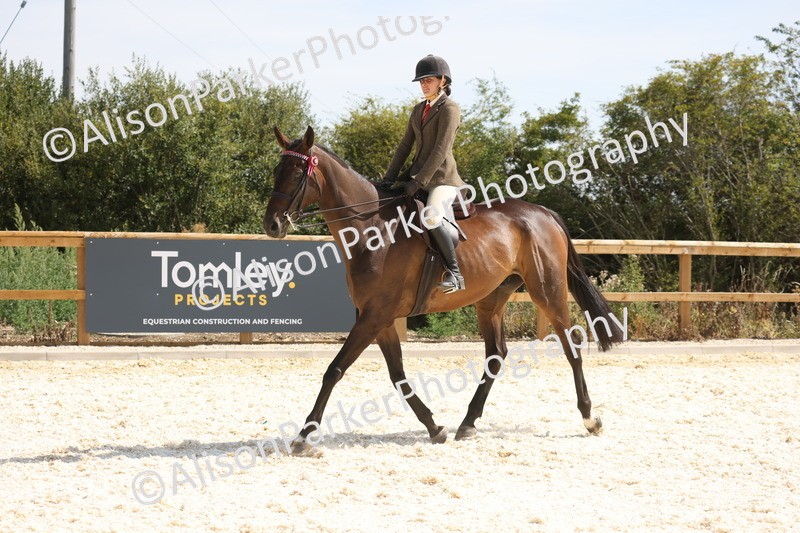 20260802-0754 - Class 8 - Best Riding Horse or Pony