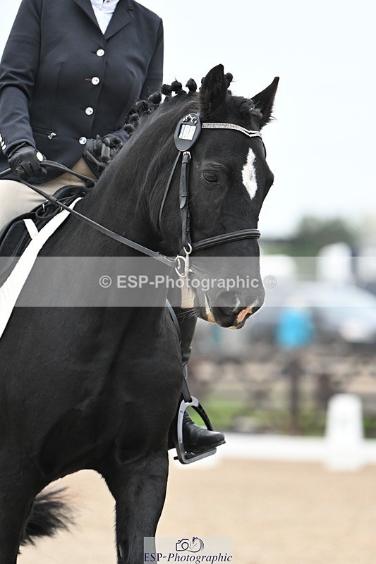 241103-094906-00215 - Intro 3 - 9.40 to 10.40