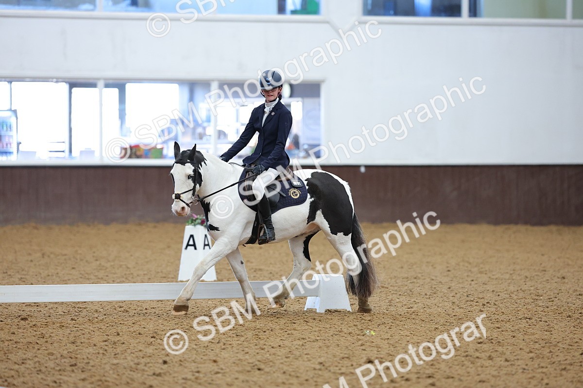 SBM_003076 - Novice