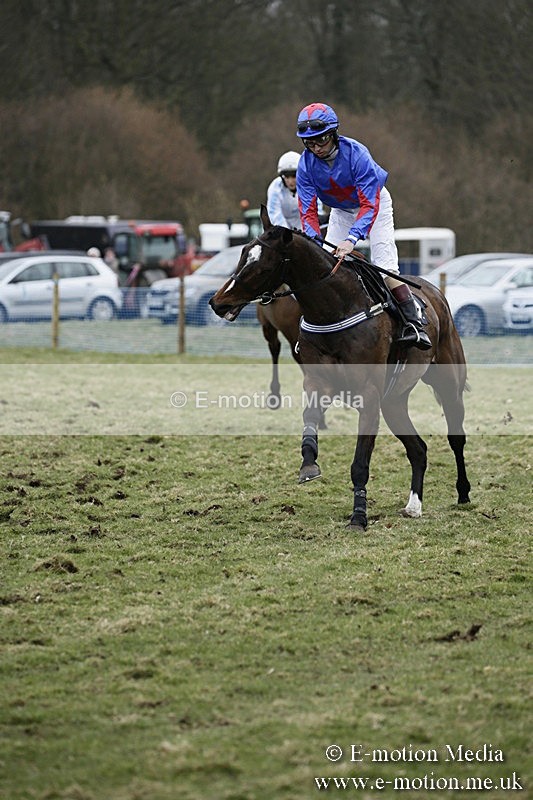PtP 110318 321 - Hampshire Hunt Point-to-Point Hackwood Park 11/03/18