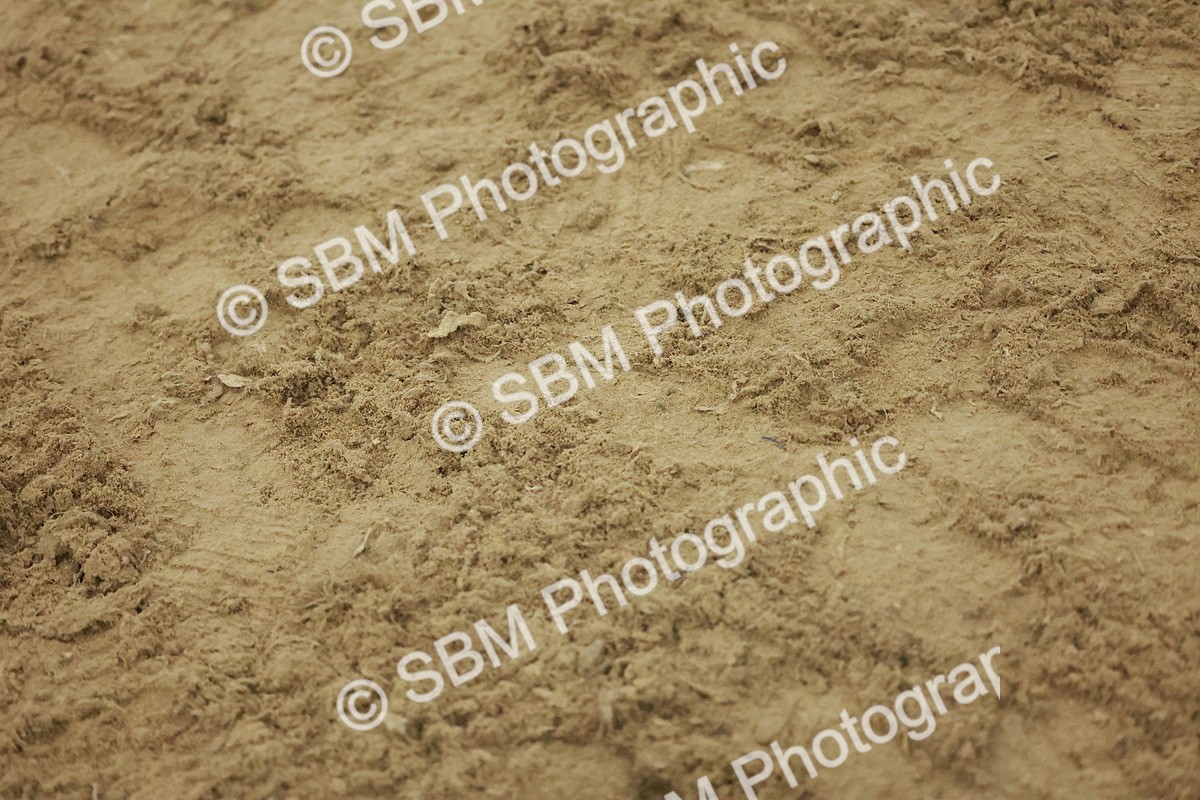 SBM_005002 - Class 6 - Chase Me Charlie