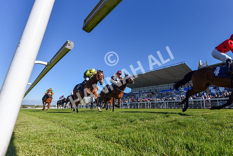 230426-Race 7-Coolree-6556