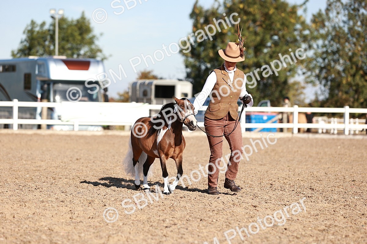 SBM_11444 - Class 402 - IH  Veteran pony