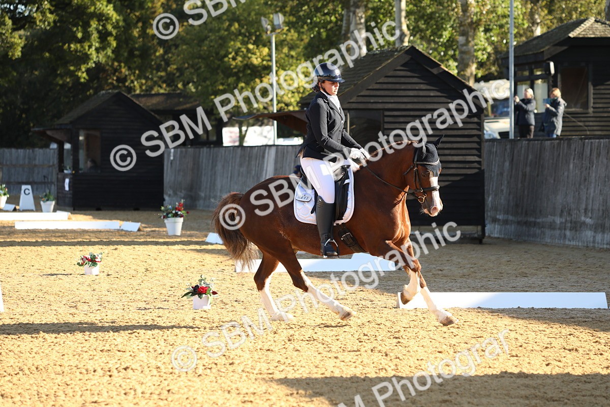 SBM_14201 - D10 - Small Tour Championship - Prelim 2