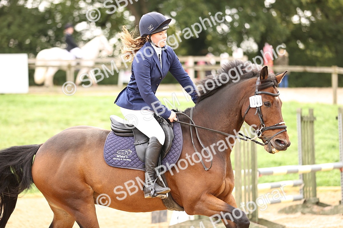 SBM_58514 - J41 - Grand Tour Horse & Pony 95cm