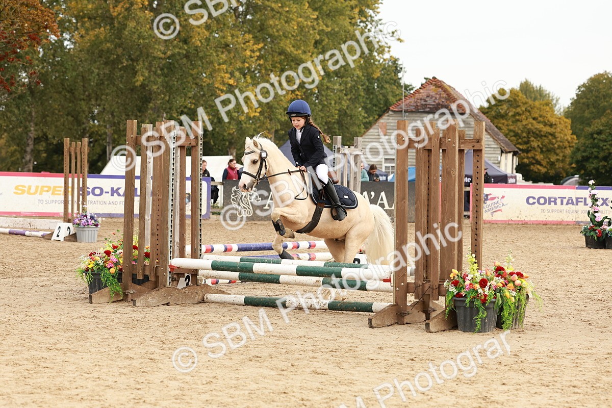 SBM_57666 - J11 - Junior Pony 50cm Championship