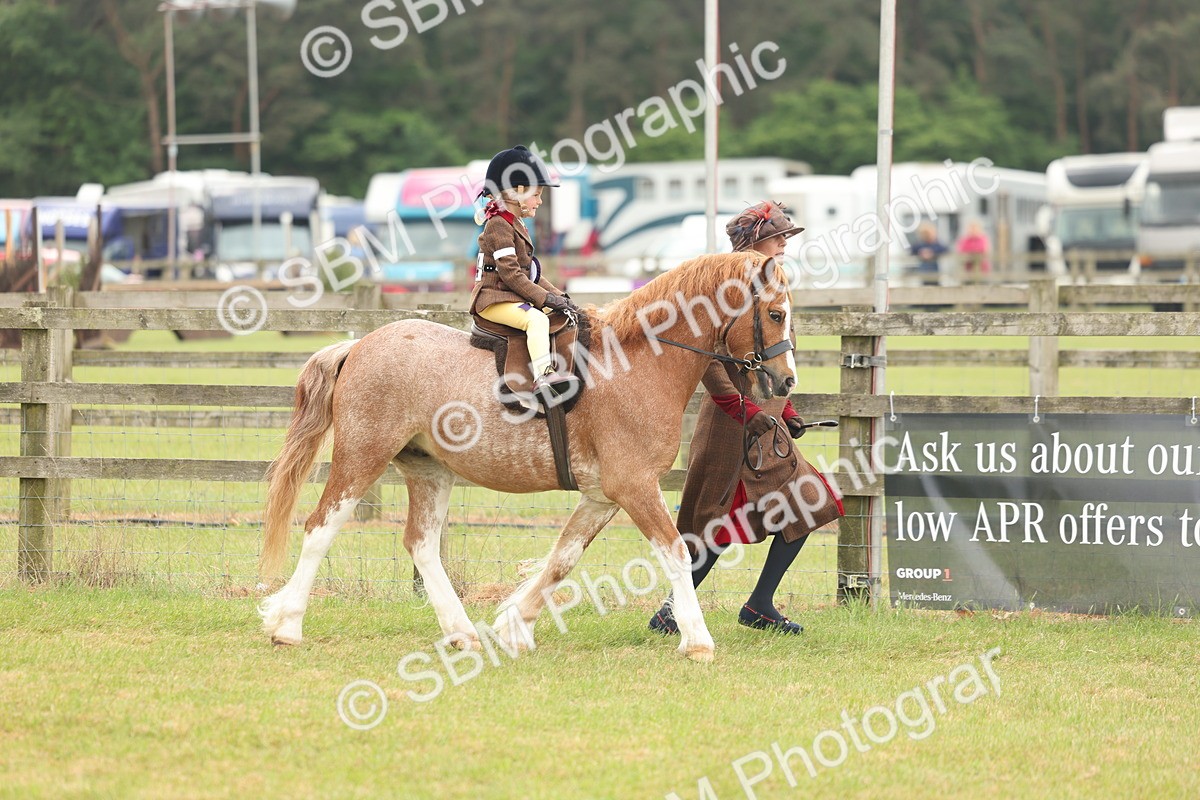 SBM_06848 - Class 74-75 - M&M Lead Rein and First Ridden Pony