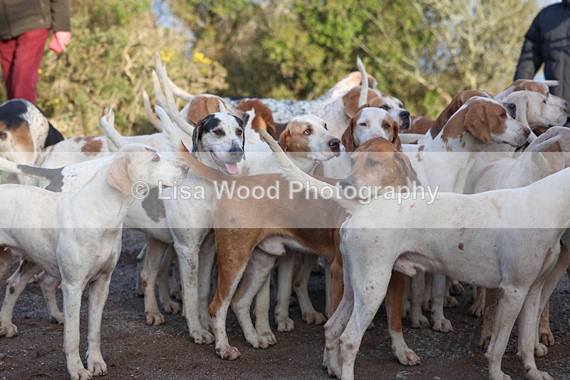 3E7A5306 - FBH Carn Brea 26.12.2025