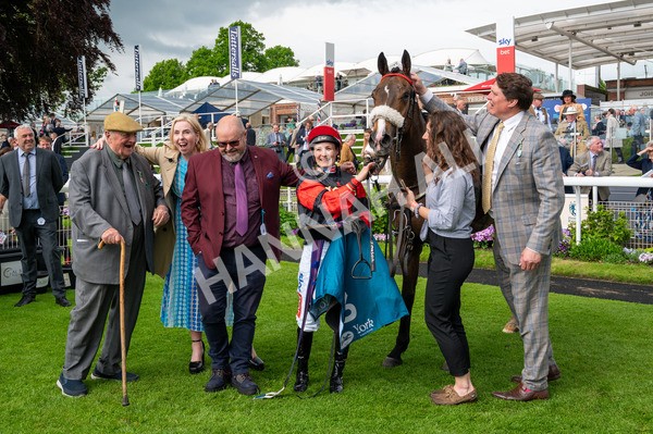 150524-Race 5-Diligent Resdev-7337 - Race 5 4.15pm Conundrum HR Consulting Handicap