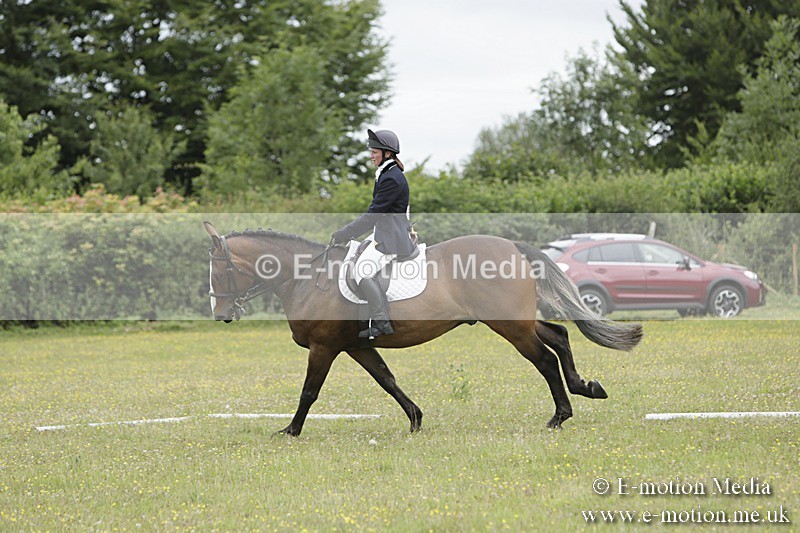 BVR160717-1491 - Class 3 Dressage 16/07/17