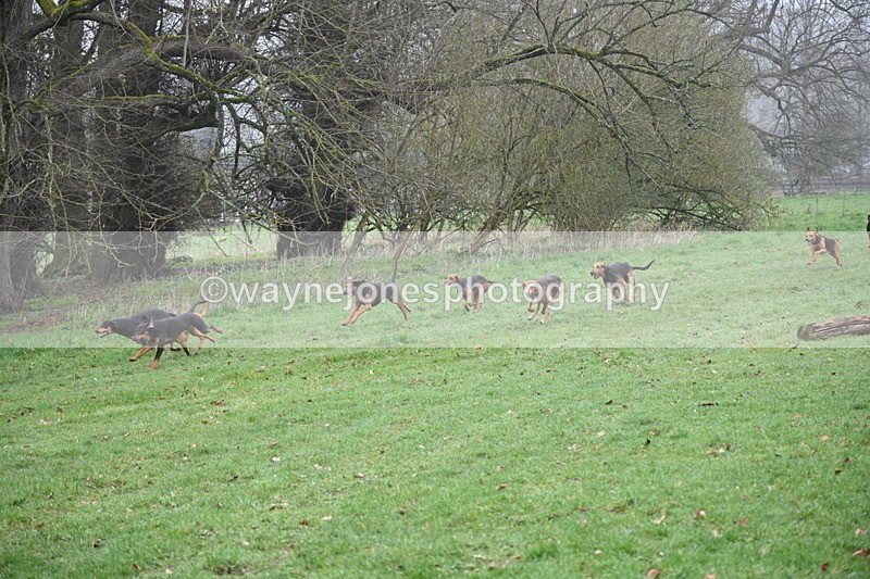 WJ6_9871 - Line 1 cam B