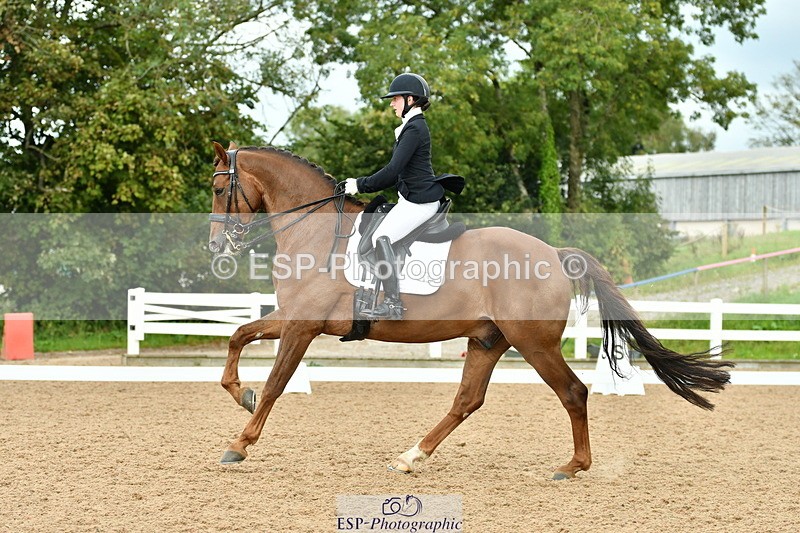 230912A-153259-01590 - Cls 13 Adv Medium 91