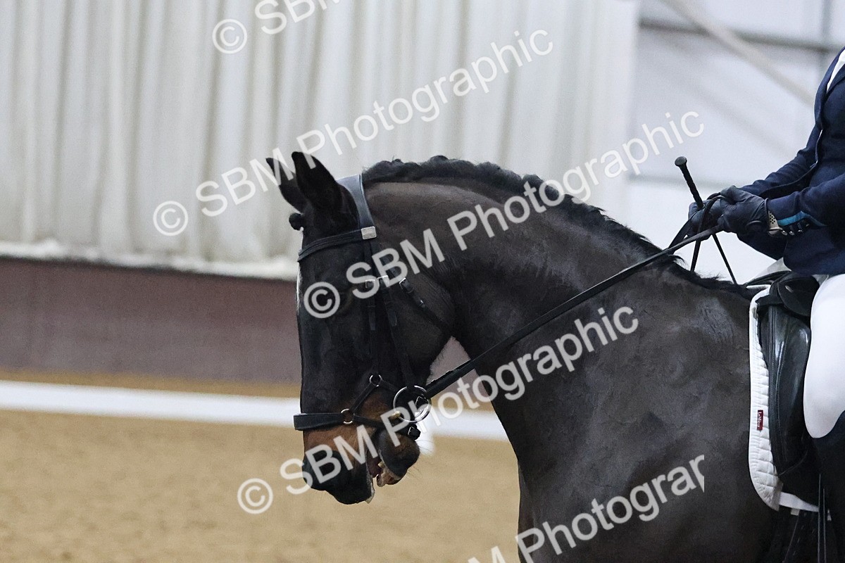 SBM_005485 - Medium Music-Medium 2-Adv Med 1