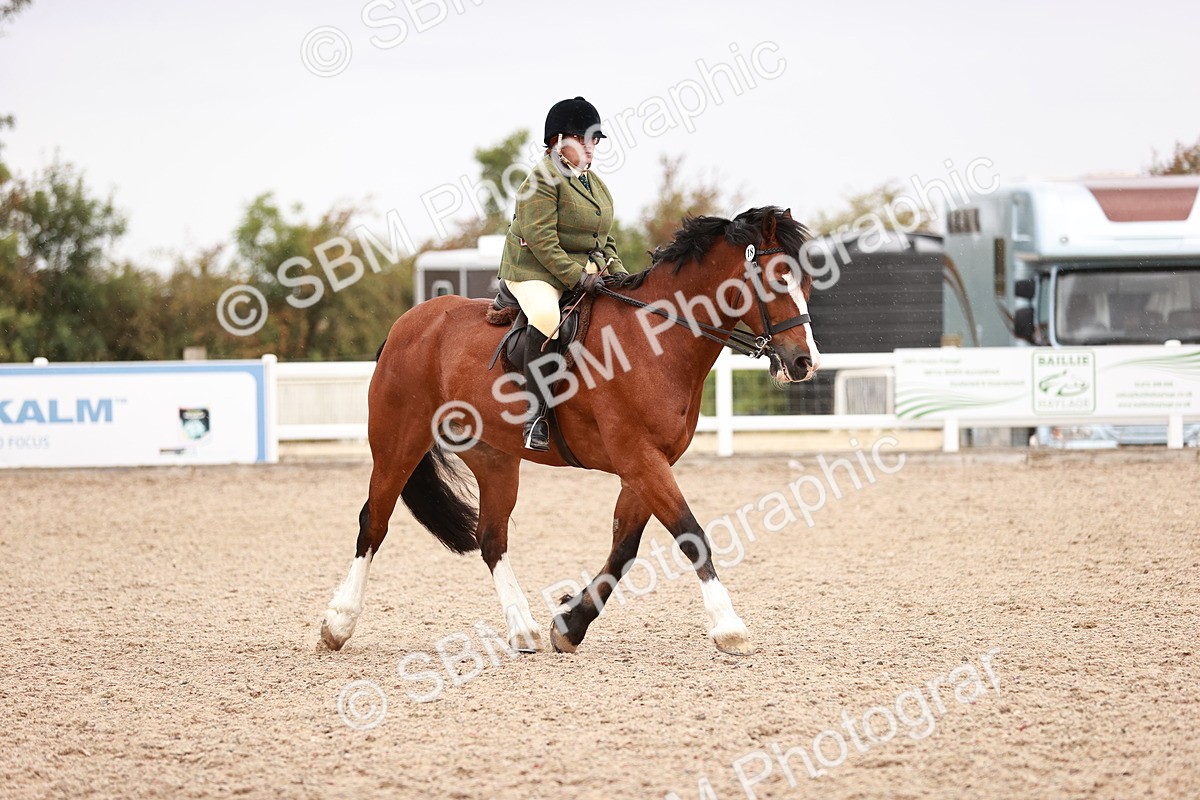 SBM_19026 - Class 422 - Ridden M&M