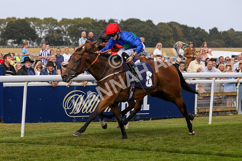 310824-Race 4-Spirit Of Applause-1568 - Race 4