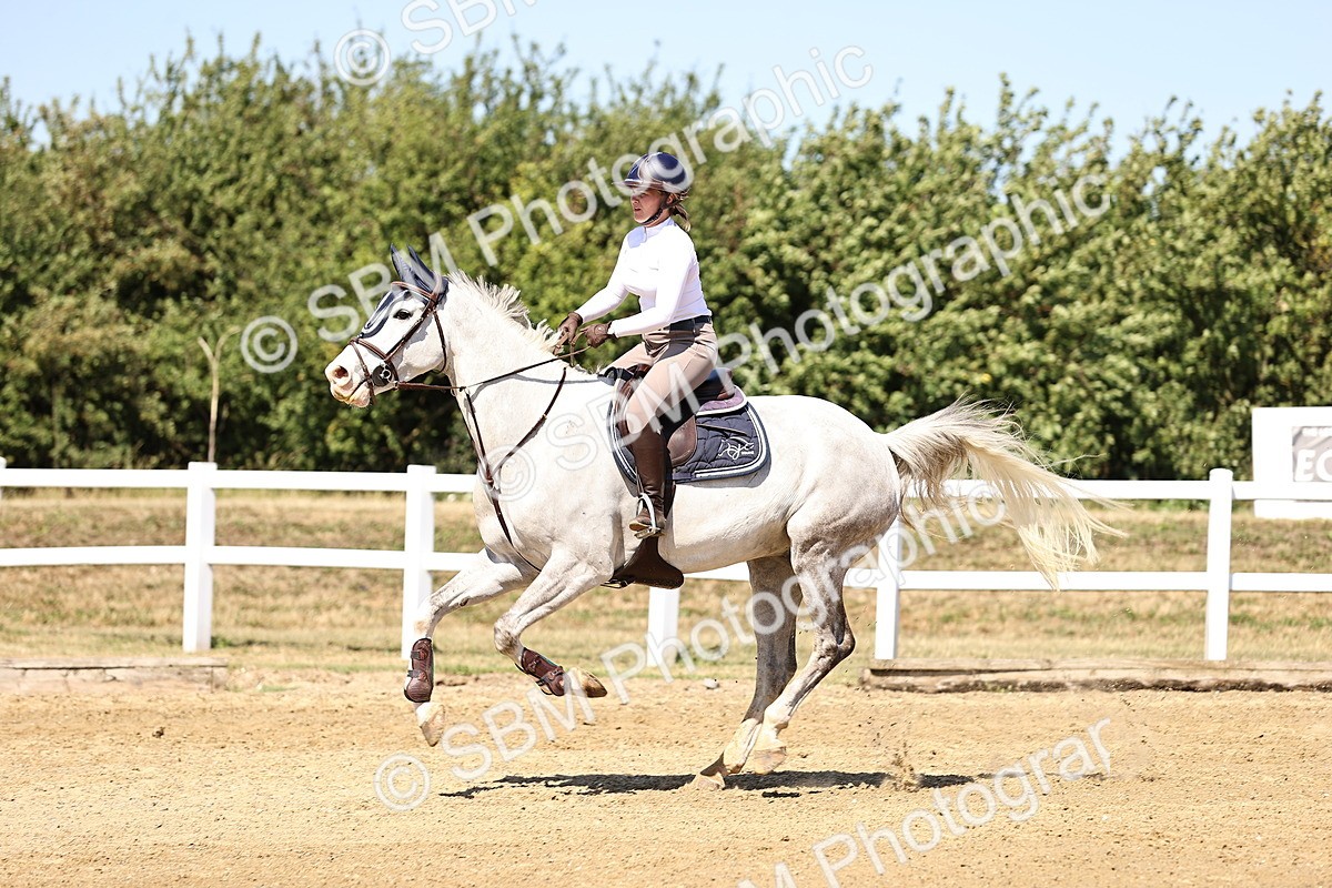 SBM_015055 - Class 16 - Senior foxhunter - 1.20m Open
