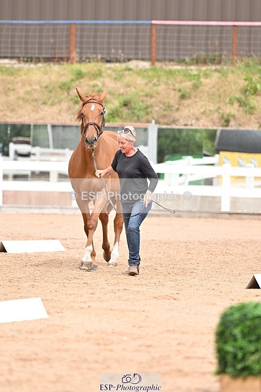 250716-154055-02109 - Trot Up 3.30 to 4.30