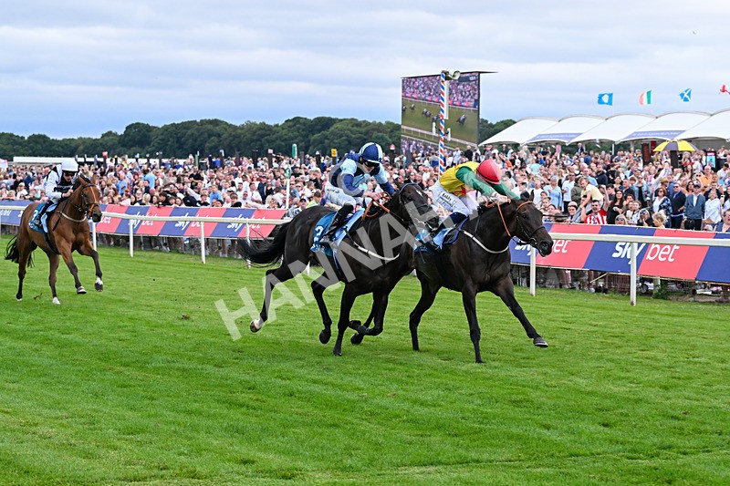 250726-Race 7-Flight Control-7806 - Race 7 16.52pm Sky Bet Extra Places Handicap