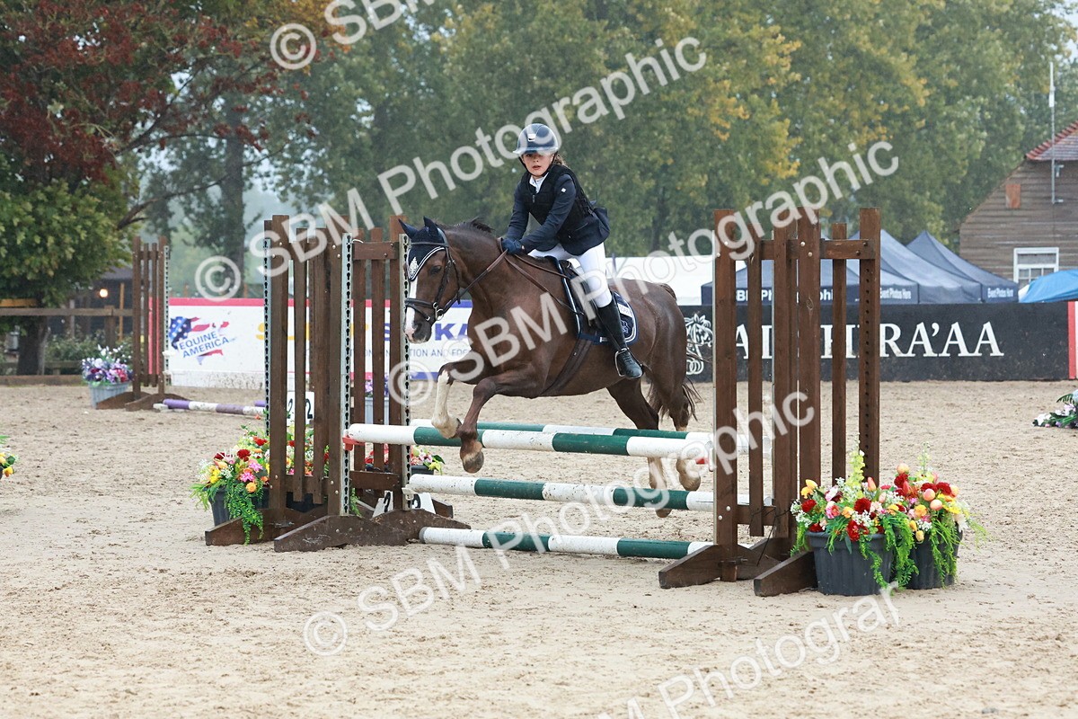 SBM_73432 - Supreme Championship Junior Pony 60cm & 65cm