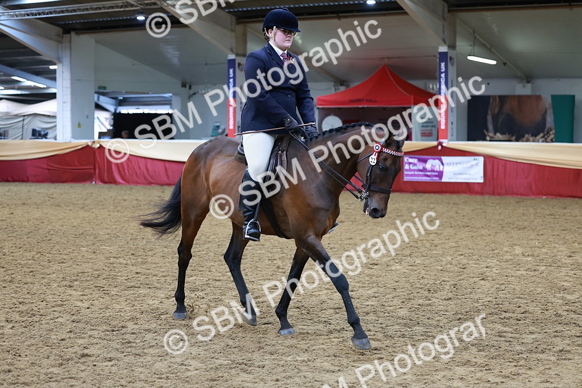 SBM_14944 - Class 108 - Ridden Retired Racehorse