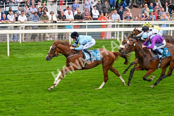 080925-Race 6-Rhapsody-7794 - Race 6 5.00pm Sky Bet Build A Bet Fillies' Handicap