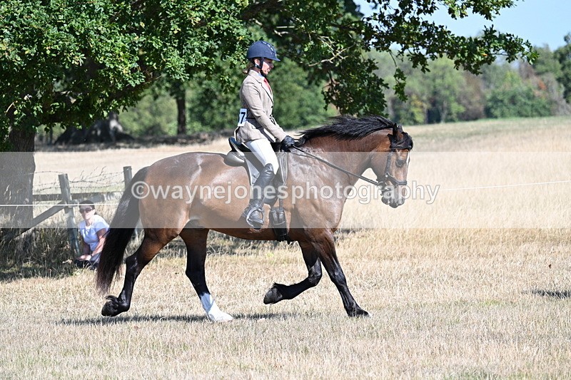 WJ7_3891 - Class 9 Mountain & Moorland Ridden