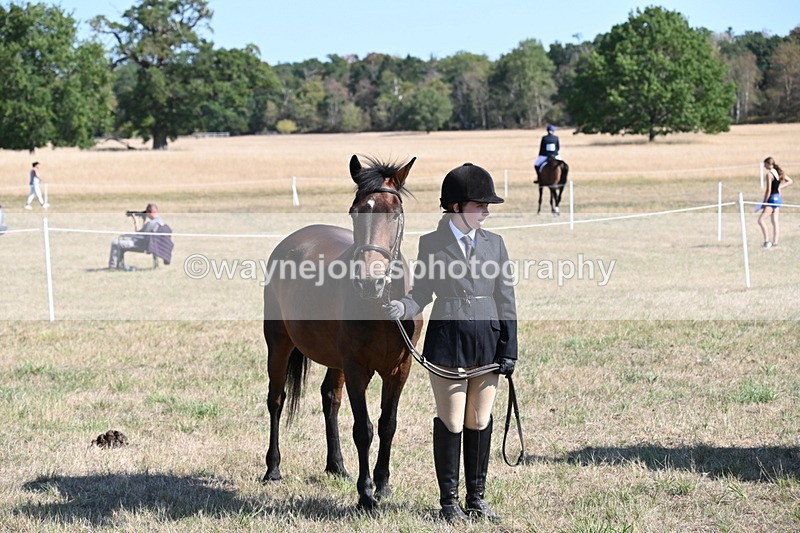 WJ6_7625 - Class 34 Judges Choice