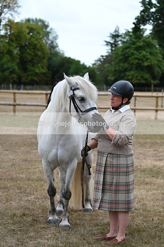 WJ7_9152 - Class 4a Prettiest Mare 14.2hh and over