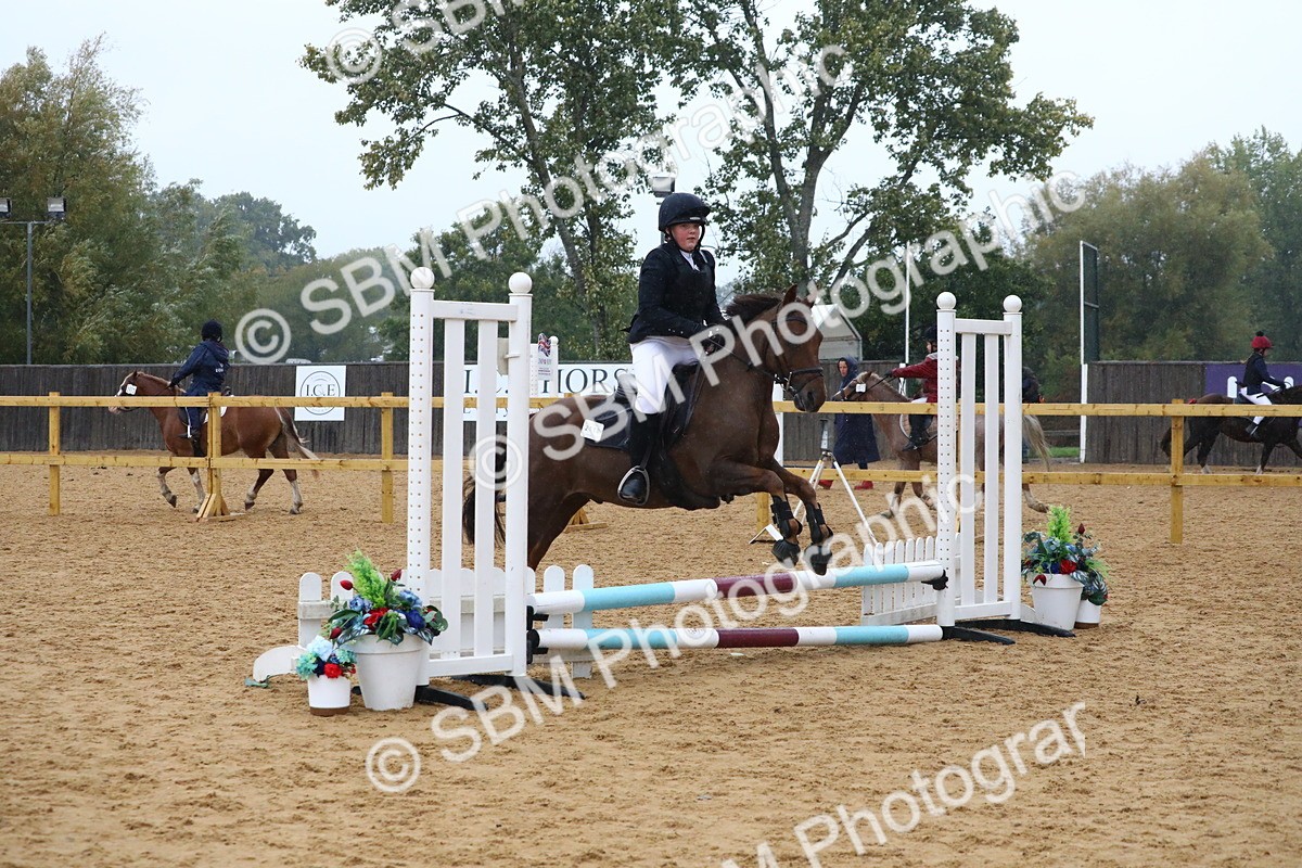 SBM_71473 - J4 - Mini Tour Junior Pony 45cm Championship