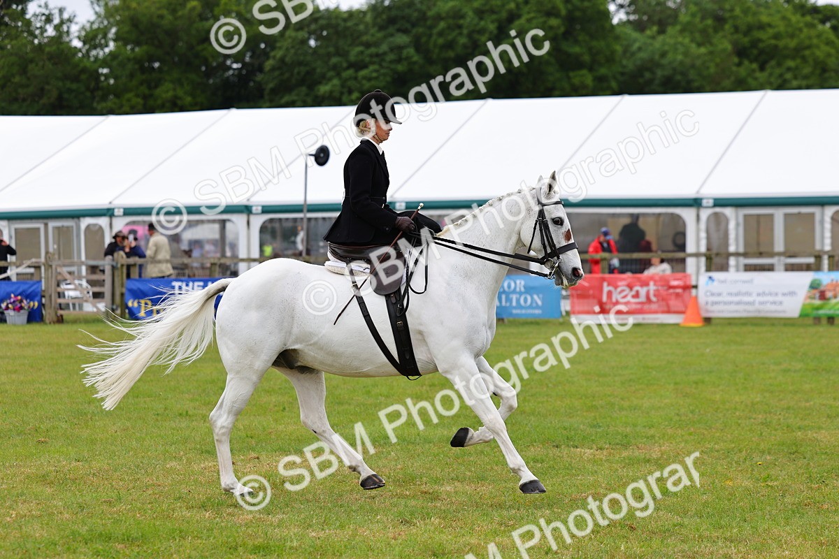 SBM_02965 - Class 9-11 Side Saddle including LIHS Rising Star Ladies Show Horse