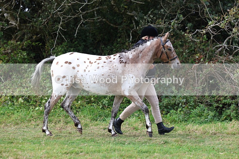 3E7A5354 - Class 19: Best Coloured in Hand