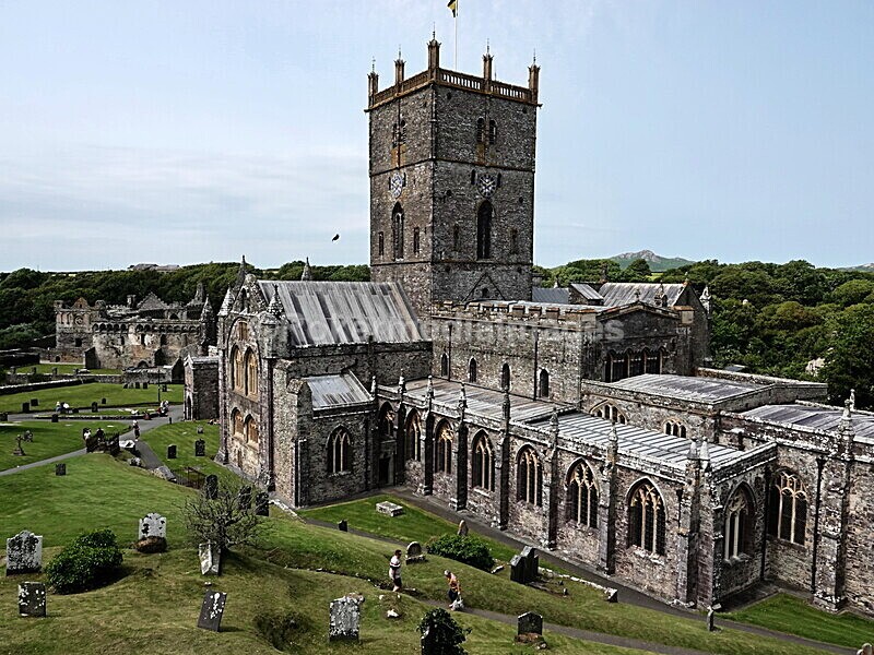 DSC00452 - Skomer 2019