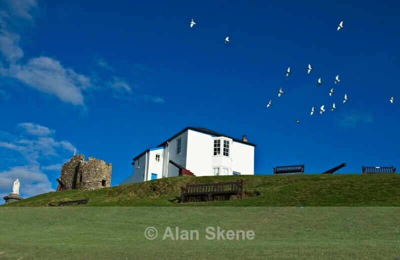DSC05941 - Pembrokeshire Wales