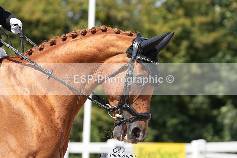 250817-123614-09390 - 175-Michelle.TaylorLeonardo