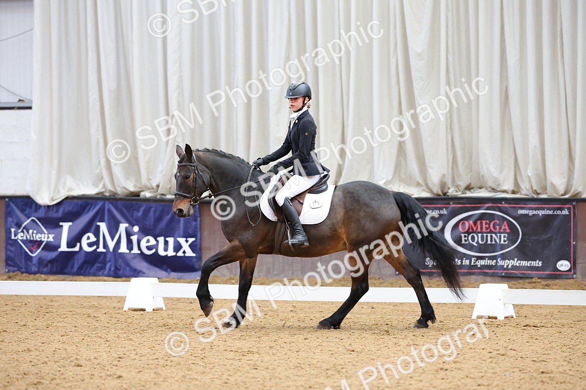 SBM_002723 - Novice