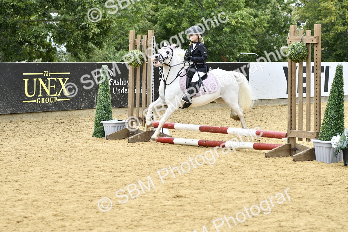 SBM_66150 - J2a mini Tour Junior Pony 30cm Championship